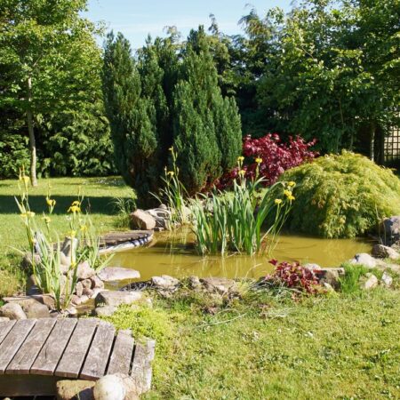 Ako jednoducho vytvoriť dažďovú záhradu