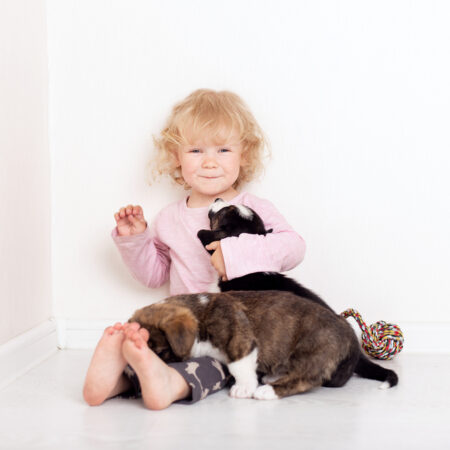 Plemená psov, ktoré sú vhodné pre deti