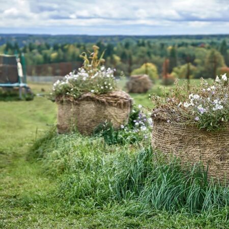 Ako založiť záhradu na balíkoch slamy