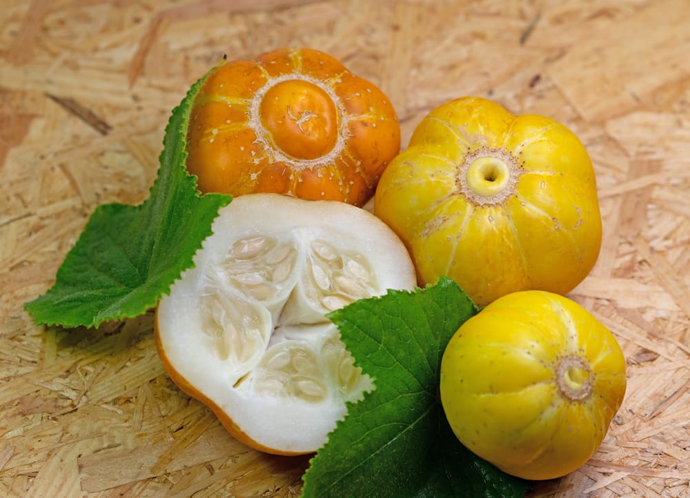 Ako pestovať a starať sa o citrónové uhorky