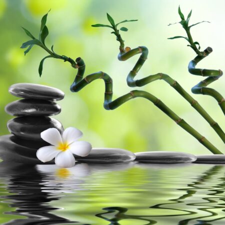 Dôležité symboly Feng Shui a ich význam, č.III