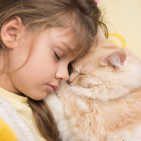 Toto sú najvhodnejšie plemená mačiek pre deti