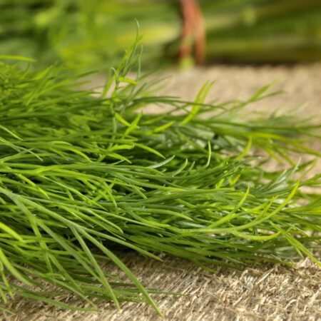 3 bylinky, ktoré sa dajú sadiť aj v auguste