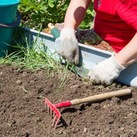 4 domáce prípravky na ničenie buriny, ktoré naozaj fungujú