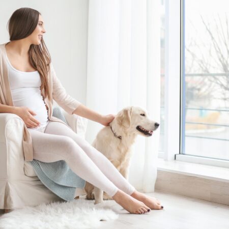 Ako ovplyvňujú mačky a psy tehotné ženy? Majitelia mačiek, pozor