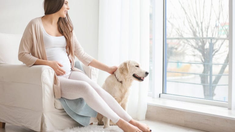 Ako ovplyvňujú mačky a psy tehotné ženy? Majitelia mačiek, pozor