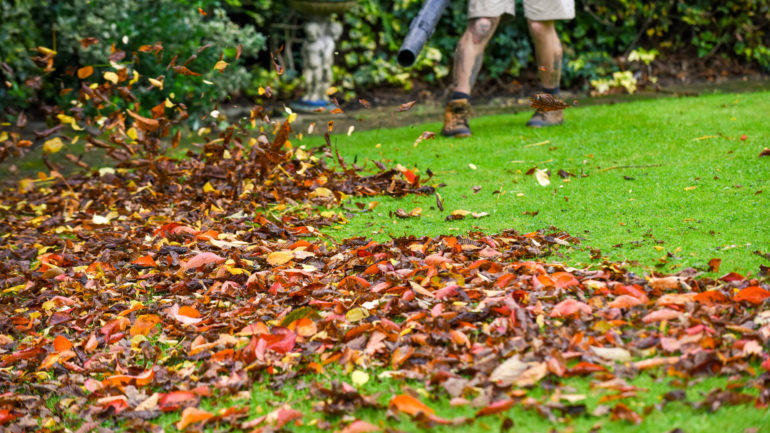 Starostlivosť o trávnik na jeseň: 8 prác, na ktoré nezabudnite
