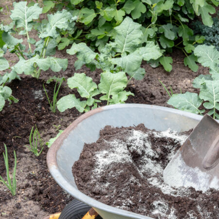 Ako obohatiť pôdu o minerály, vyskúšajte horninovú múčku