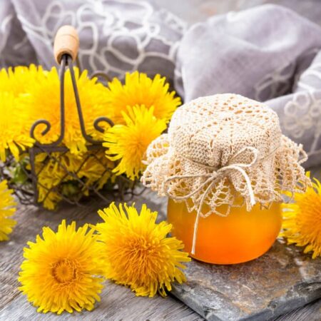 Domáca púpavová masť na boľavé svaly, vyskúšajte recept