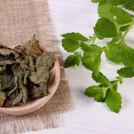 12 liečivých receptov, ktoré si môžete pripraviť z medovky