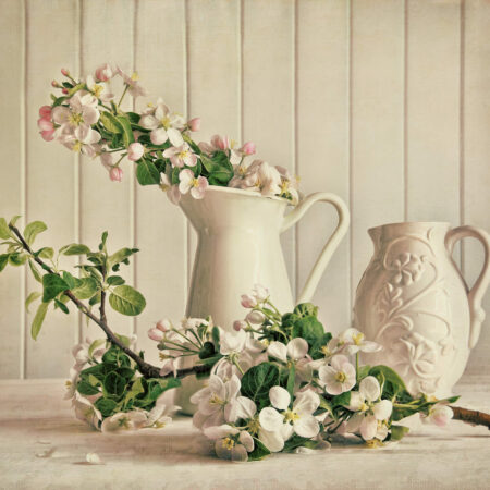 Kvety v zime? Rýchlenie rastlín pre ozdobu vášho domova