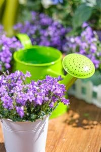 Vhodné štýly na váš kvetinový balkón - zelená oáza v malom