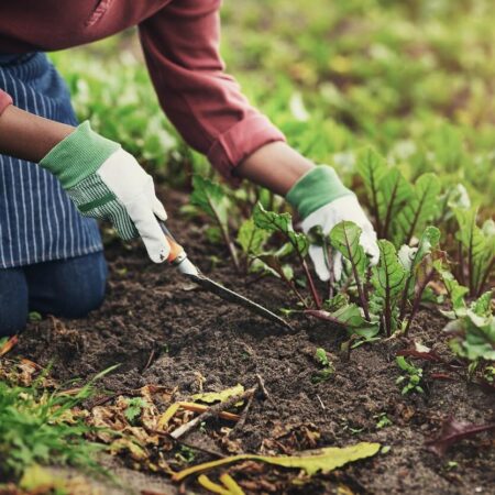 Zásady a odporúčania pre alergikov pri práci v záhrade