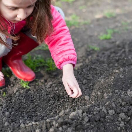 Ako zariadiť záhradu pre najmenších, na toto nezabudnite