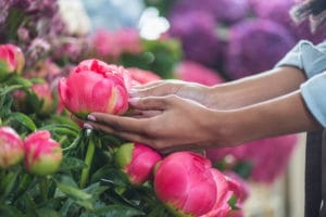 Vhodné kvety pre alergikov