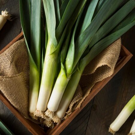 Pestovanie póru a jeho zásady