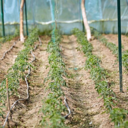 Ako pripraviť teplé parenisko na novú sezónu