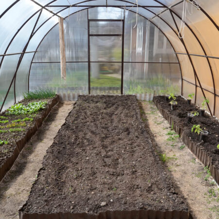 Priesady pre skorú úrodu. Čo treba vedieť?