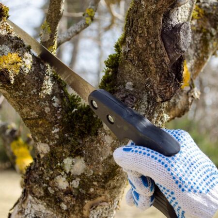 Zbytočné chyby pri reze ovocín