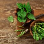 Jarná očista pomocou žihľavy a púpavy: prírodná detoxikácia z vašej záhrady