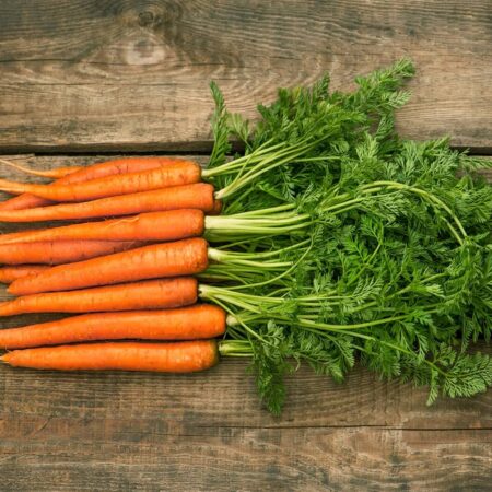 Skorá mrkva či neskorá? Toto treba vedieť pred jej sadením