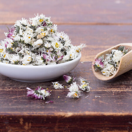 Čaj či med zo sedmokrásky na kašeľ a prechladnutie