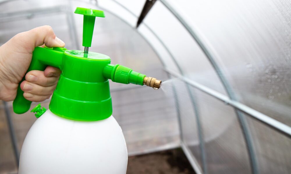 Ako dezinfikovať skleník? Po miernej zime je to potrebné