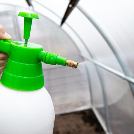 Ako dezinfikovať skleník? Po miernej zime je to potrebné