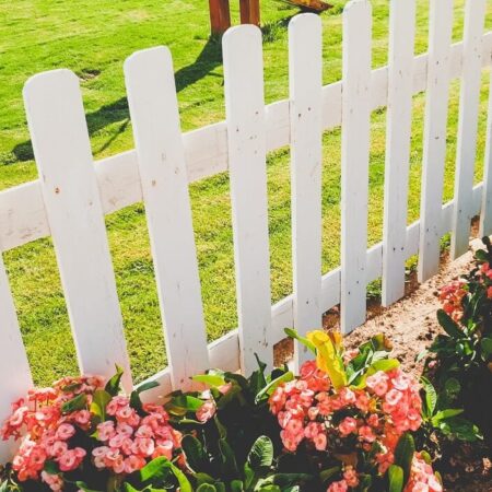 Výsadba úzkeho pásu pri plote, tipy, ako na to