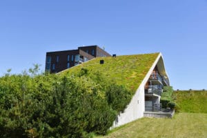 Vegetačné strechy: Ich výhody a nevýhody a čo treba vedieť