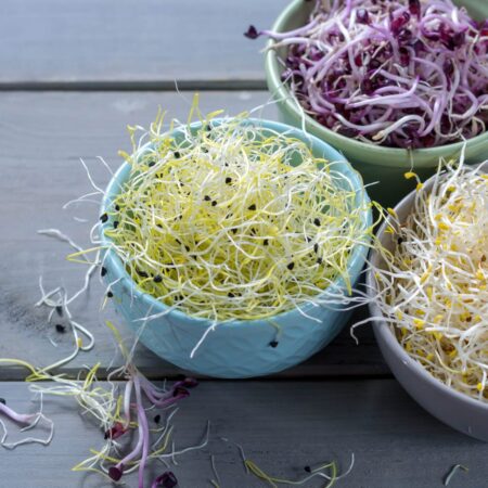 Vypestujte si zdravé mikrobylinky. Ktoré semienka použiť?