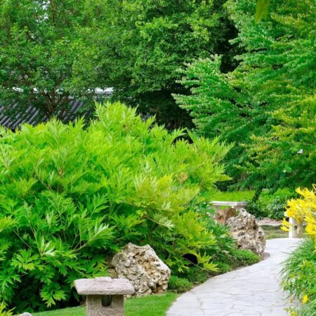 Prečo vaše okrasné stromy nekvitnú