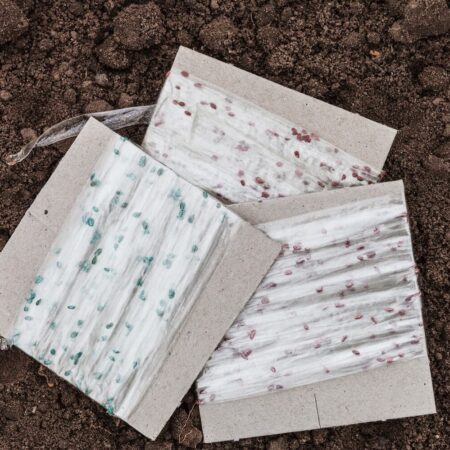 Ako sadiť s výsevným pásikom? Tu je jednoduchý návod,