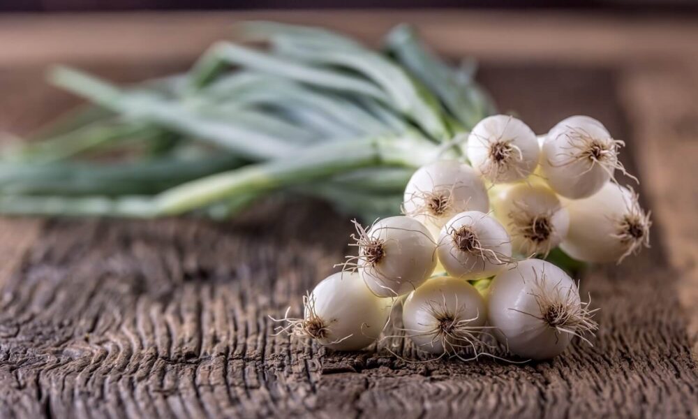 Jarná cibuľka vo vašej kuchyni, vyskúšajte tieto recepty