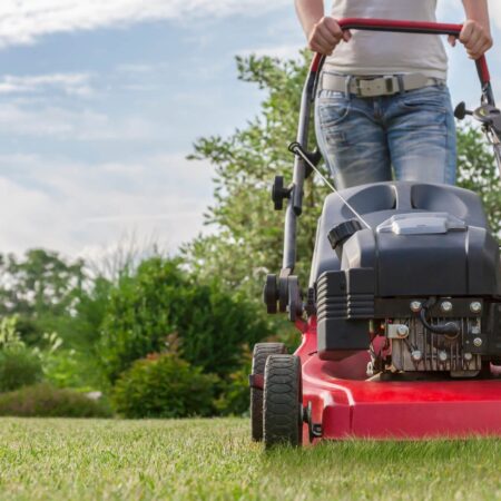 Ako vybrať vhodnú kosačku: Sprievodca pre správny výber