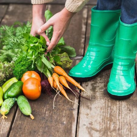 Ekologická záhrada: 12 skvelých tipov ako na to