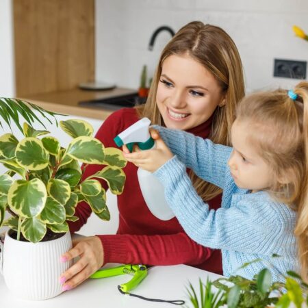 izbové rastliny a ich pozitívny vplyv na zdravie