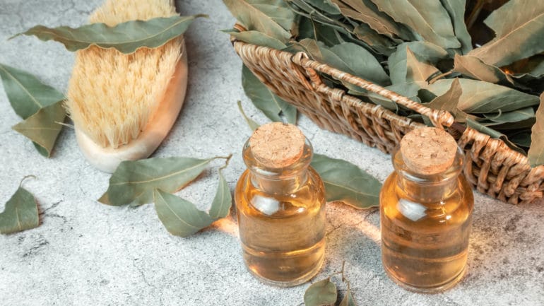Aromaterapia: Poznáte liečivé vône záhrad?