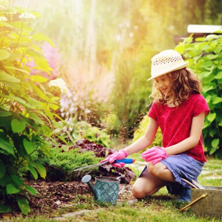 Čo treba urobiť v záhrade počas augusta