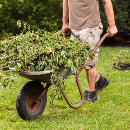 Aké práce treba spraviť v záhrade v septembri