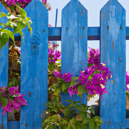 Záhradné Ploty: Čo všetko treba vedieť pred výstavbou