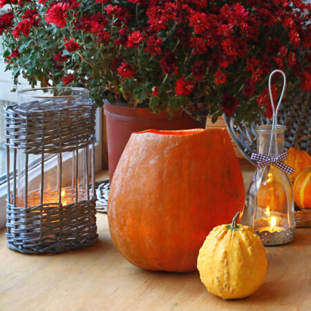 Chryzantémy ozdobia váš balkón