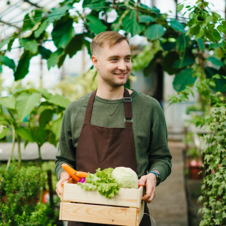 Práca v skleníku v septembri: Ako sa pripraviť na novú sezónu