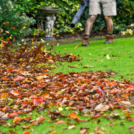 Starostlivosť o trávnik na jeseň: 8 prác, na ktoré nezabudnite