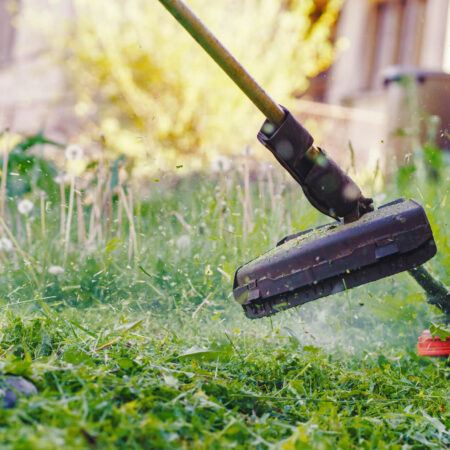 Ako si vybrať krovinorez, toto treba pri výbere zohľadniť