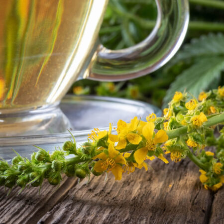 Účinnejšie ako lieky: Bylinky, ktoré pomáhajú v boji s chorobami