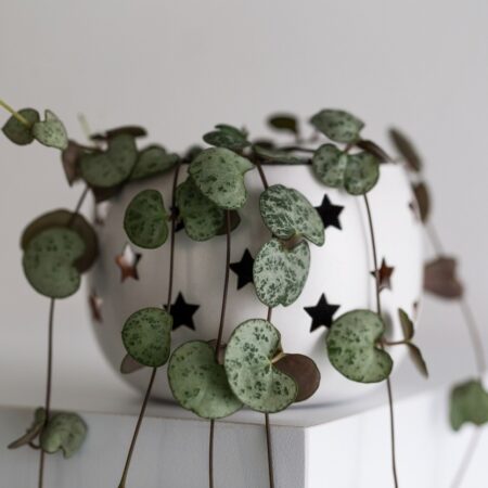 Izbovky v tvare srdca, ktoré prinesú šťastie a lásku