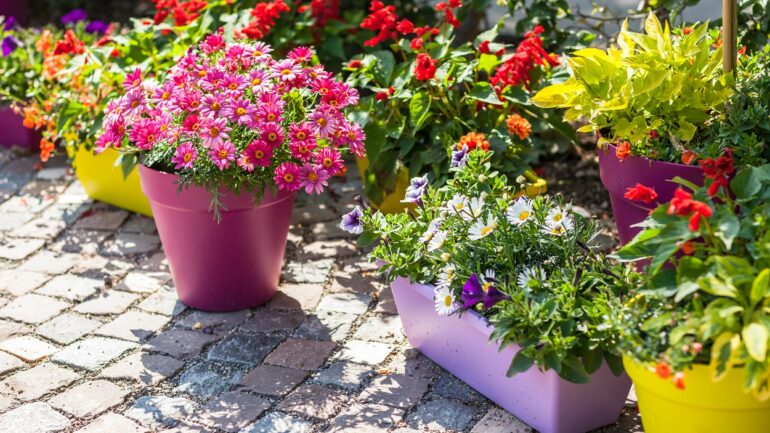 Malá záhrada: Praktické tipy, ako ju správne naplánovať
