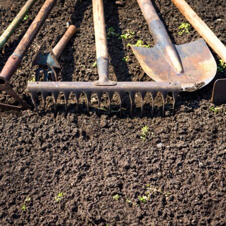 Ako chrániť záhradnú pôdu: Menej plastu a viac kompostu