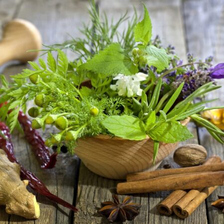 Terapia rastlinami: Ako bylinky môžu poslúžiť ako liek